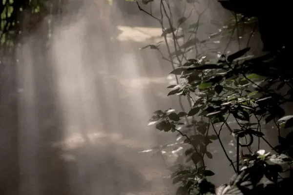 VE_isole_di_brissago_05_640