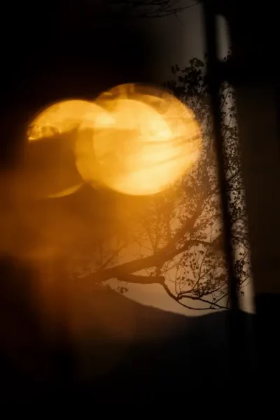 VE_isole_di_brissago_12_768